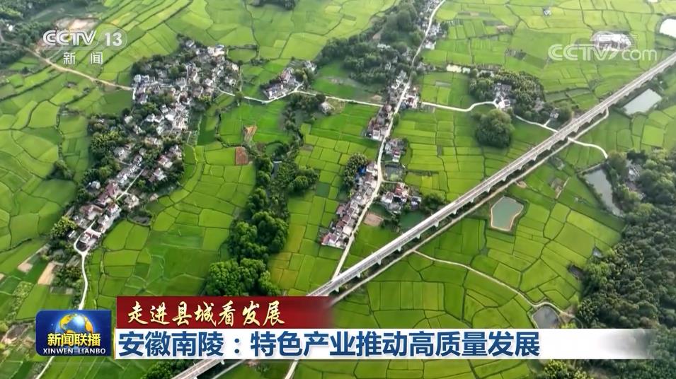【走进县城看发展】安徽南陵:特色产业推动高质量发展 辽宁海城:产业集聚百业兴