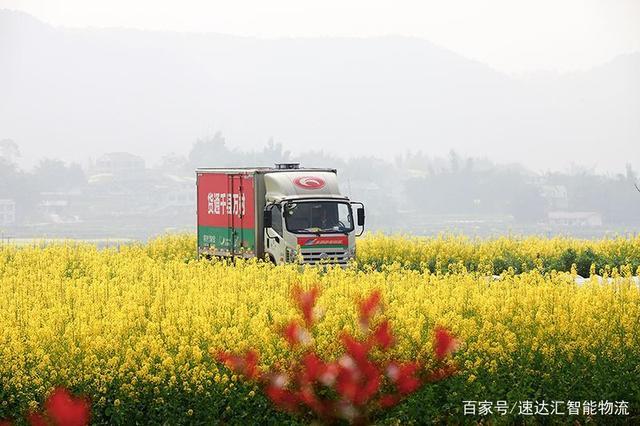 速达汇农产品销售难问题?不仅是农村物流问题,更重要是思维问题