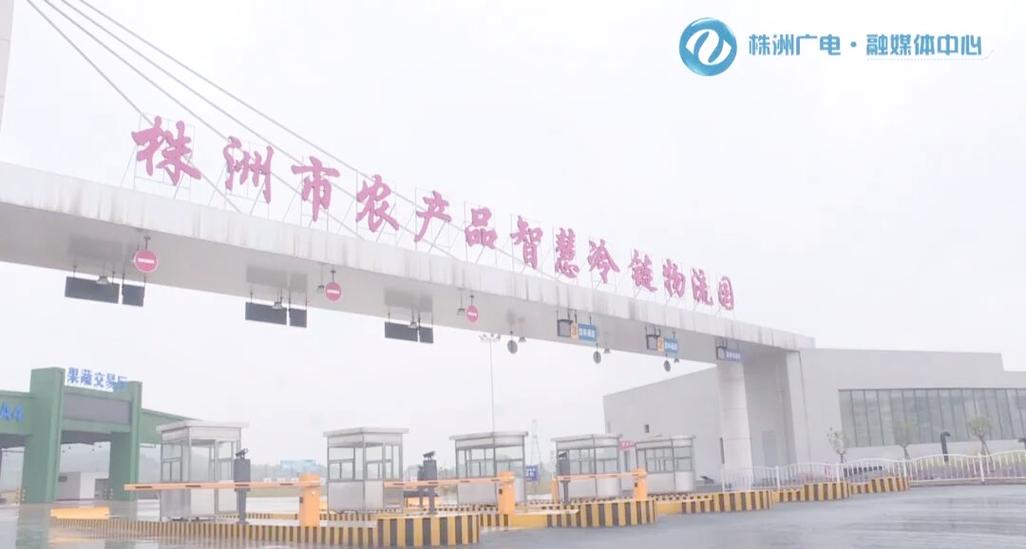 株洲智慧冷链物流园:提升生鲜农产品仓储能力的里程碑